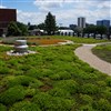 View of campus from Howlett Hall Green Roof