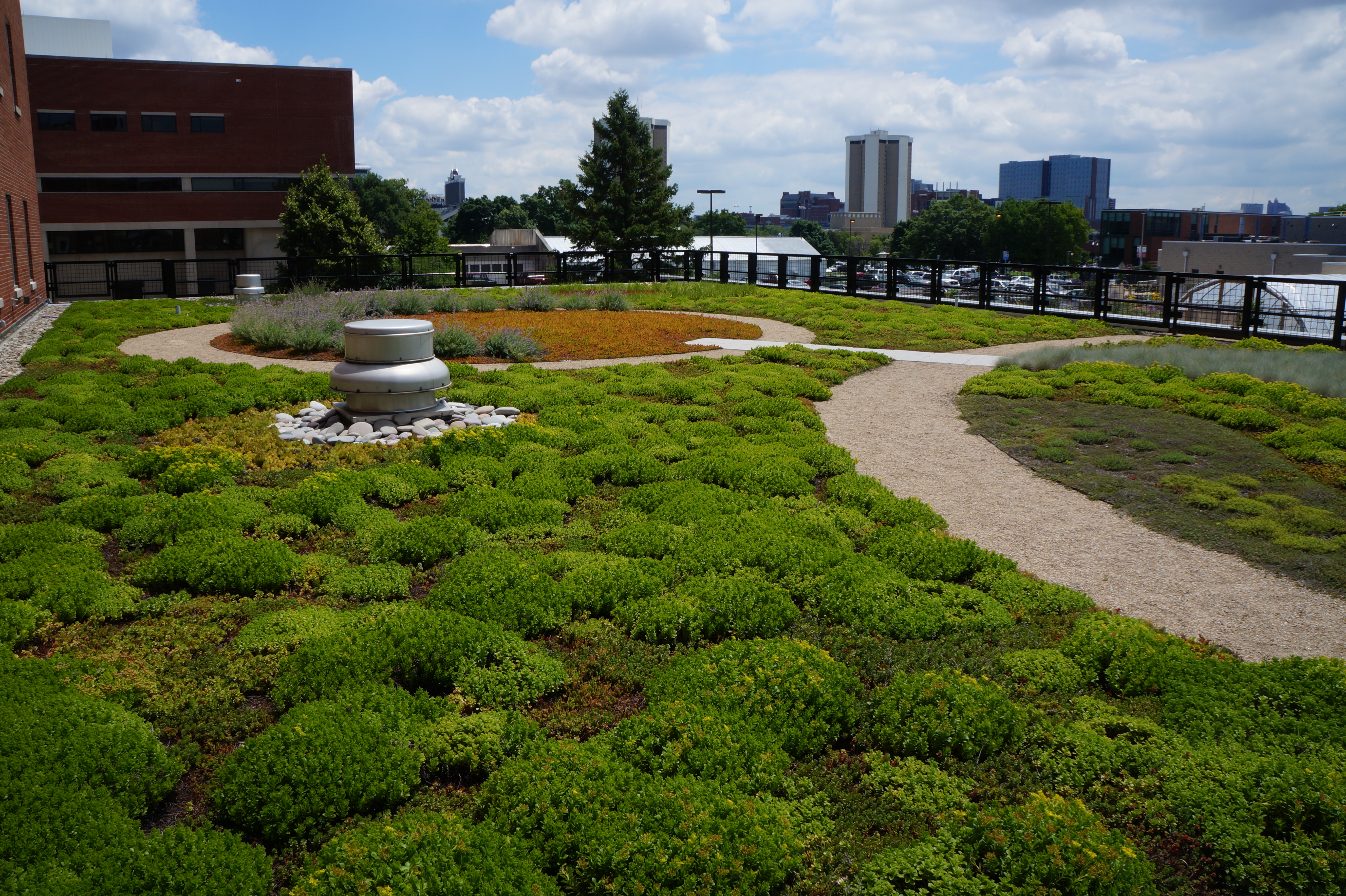 View of campus from Howlett Hall Green Roof