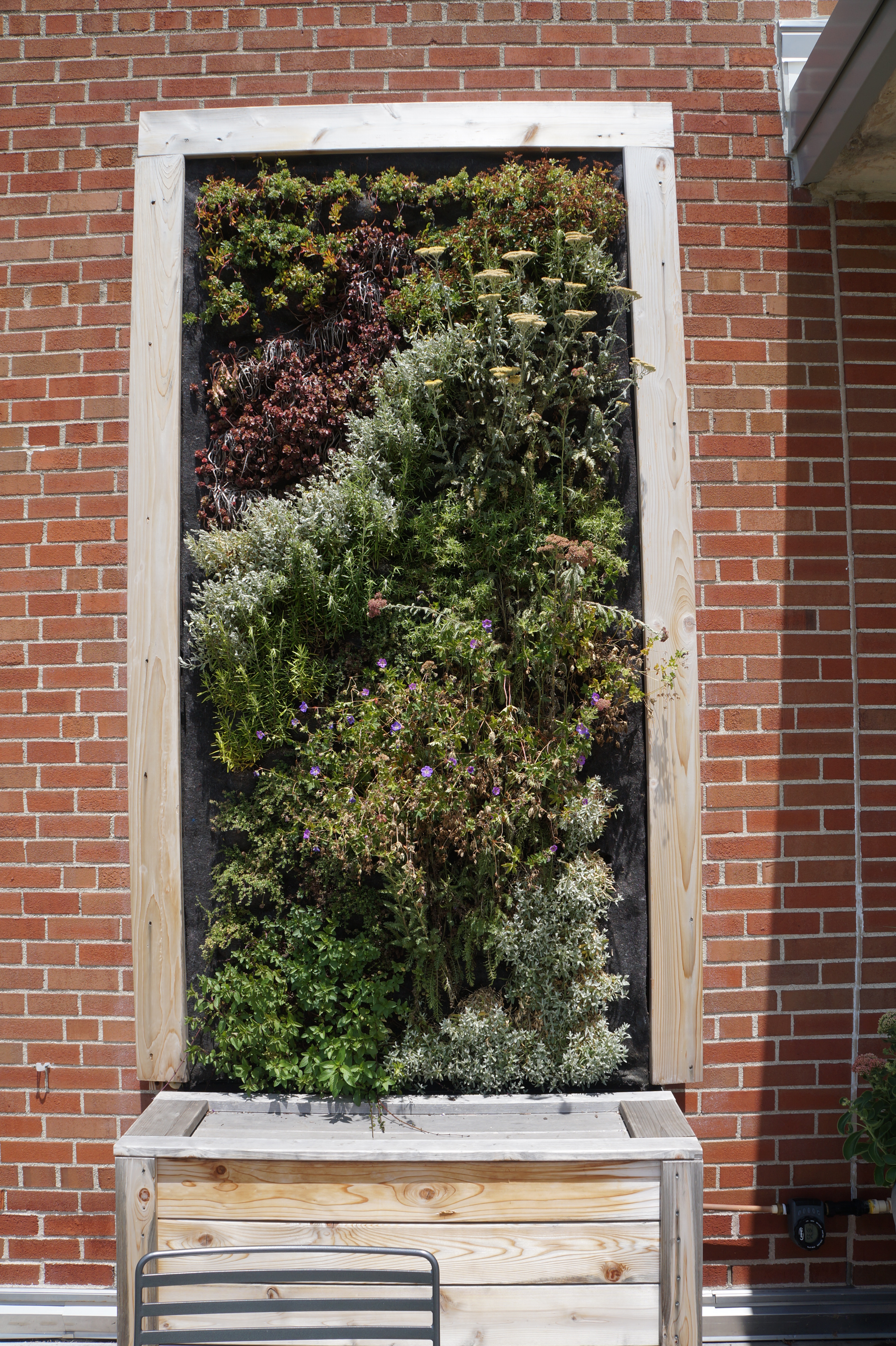 Vertical Garden funded by Student Life Coca-Cola Student Sustainability Grant