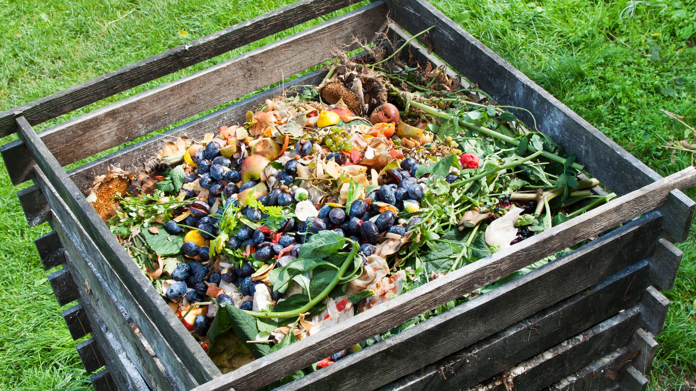 An easy backyard compost pile