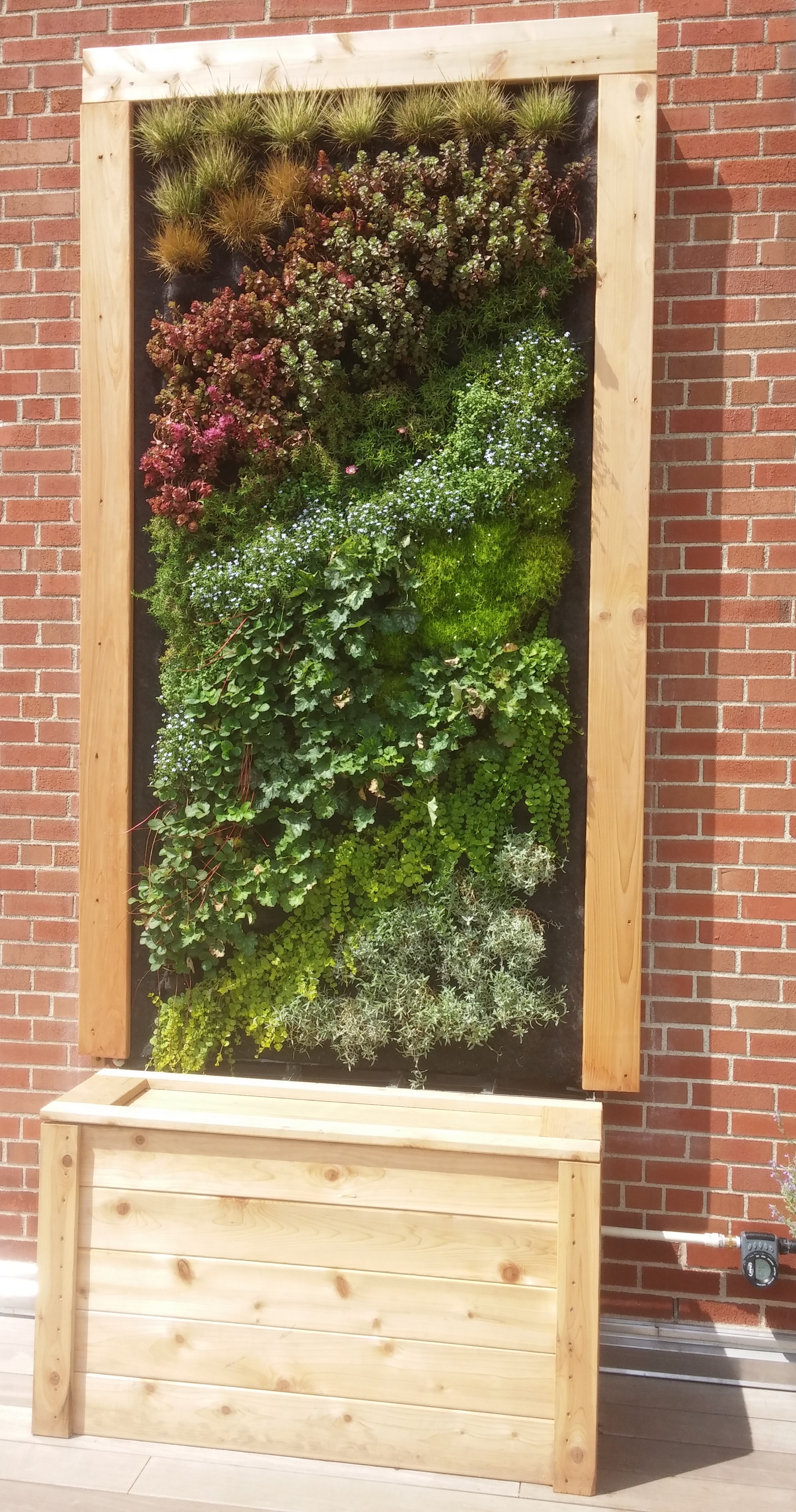 Coca Cola Sustainability Grant Past Winner - Green Wall Project