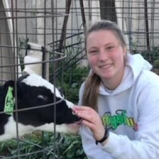 Hallie with calf.