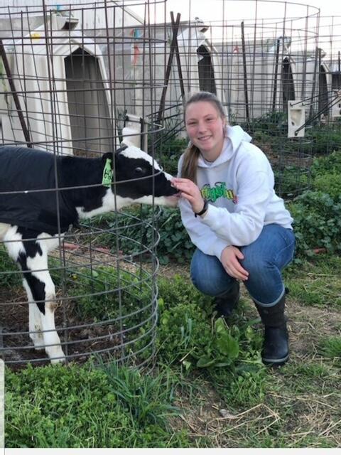 Hallie with calf.