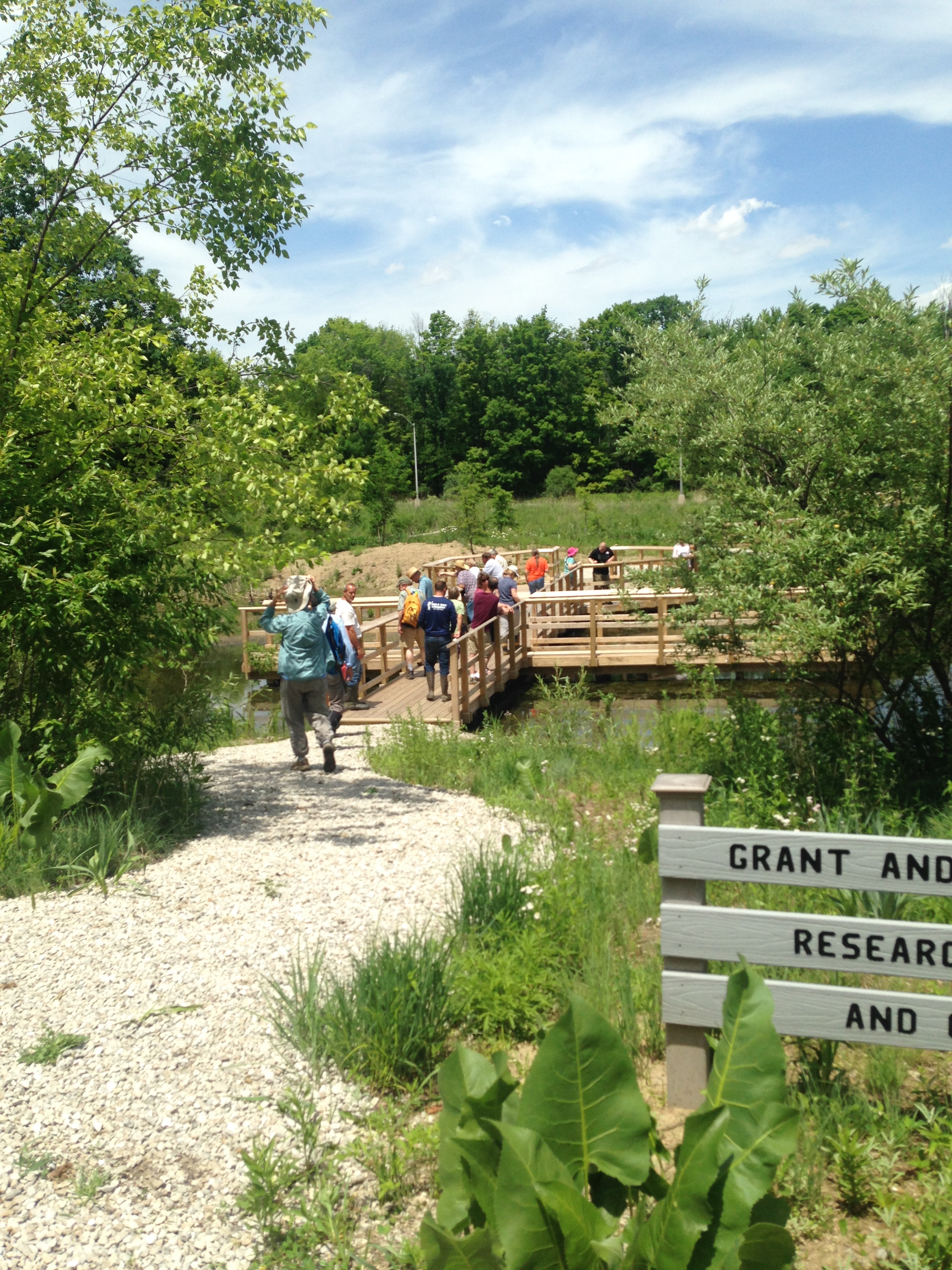 A beautiful day to explore wetlands.