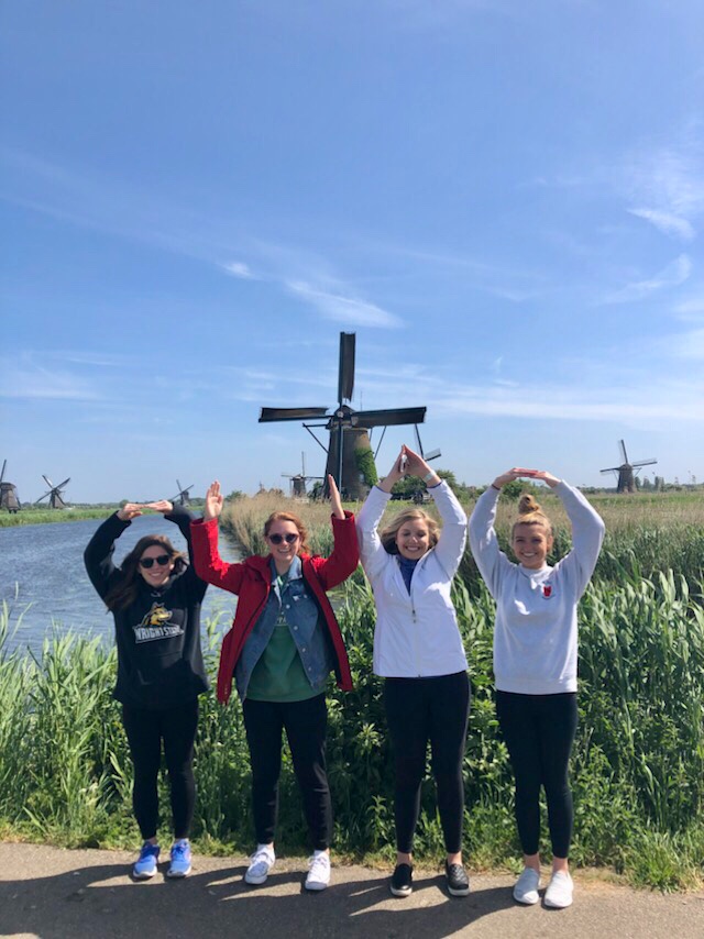 Buckeyes in Kinderdijk, Rotterdam