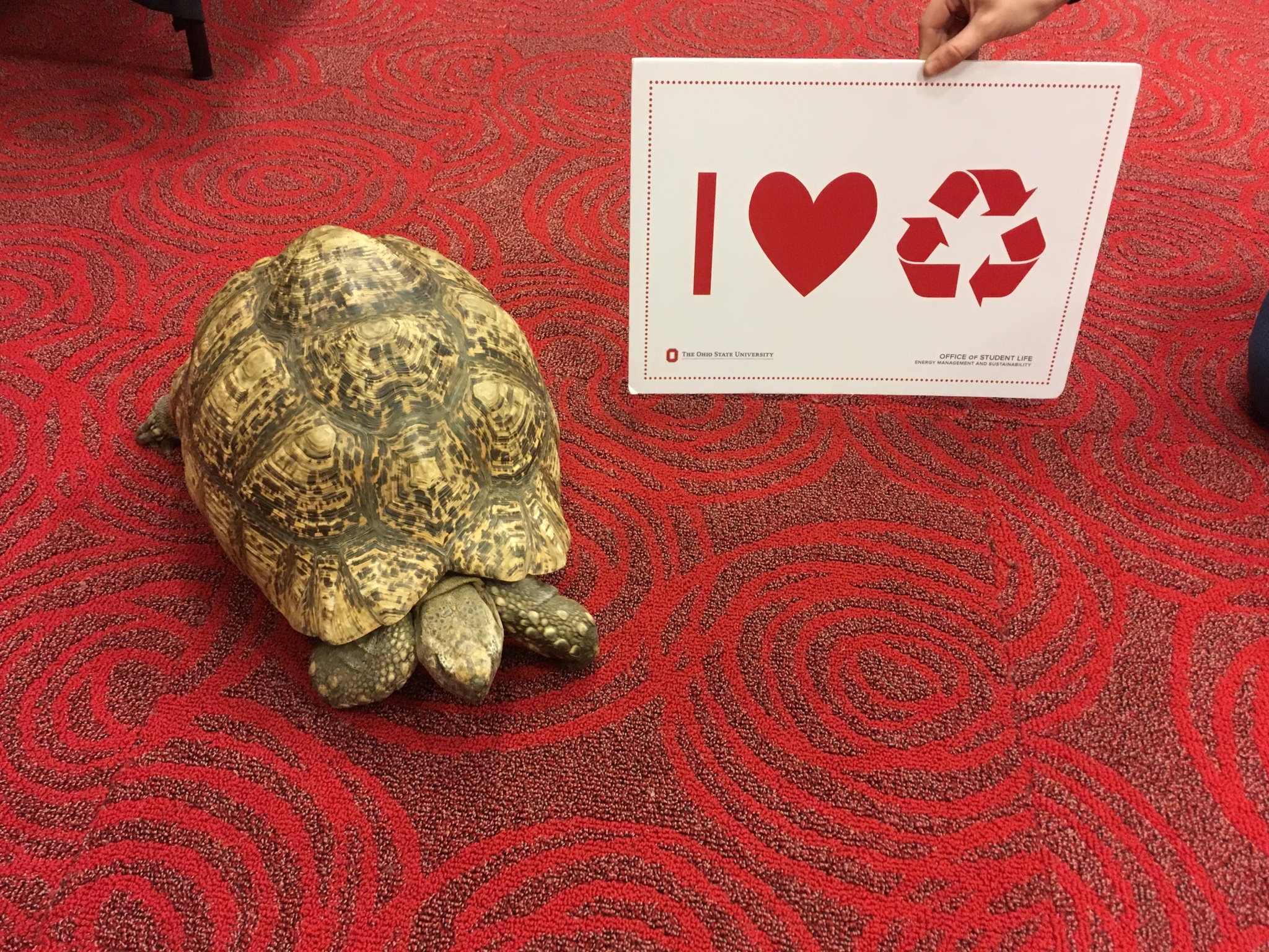 Everyone loves recycling!